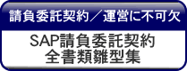 SAP�����ϑ��_��S���ސ��^�W